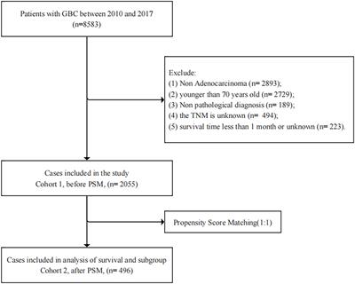 Effects of surgery on survival of elderly patients with gallbladder cancer: A propensity score matching analysis of the SEER database